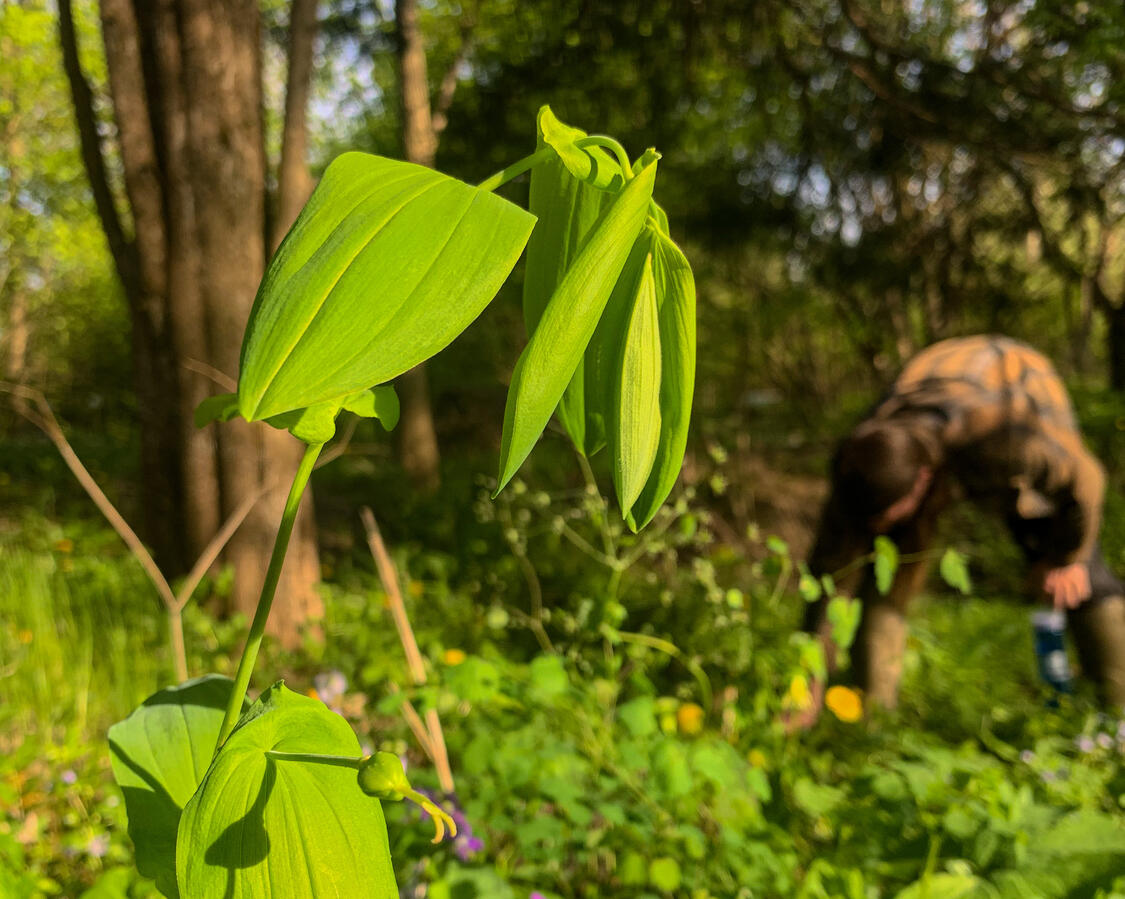 What could be waiting right outside your door?